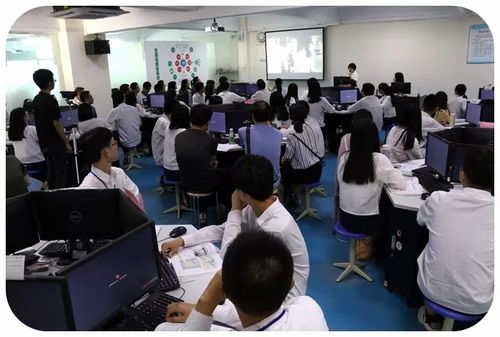 什么是中网电子商务专业