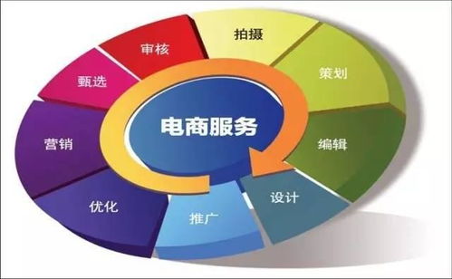 电子商务专业可迁移技能