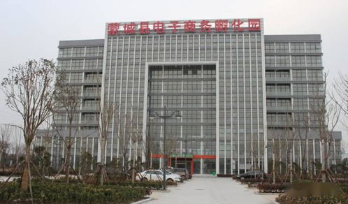 蒙城县专业电子商务