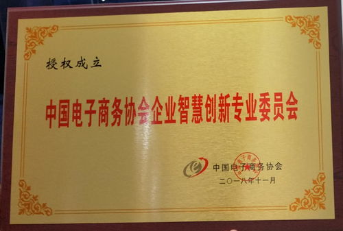 上海大智慧电子商务专业